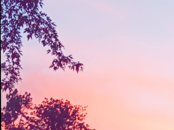 chubbybarbie222's Header