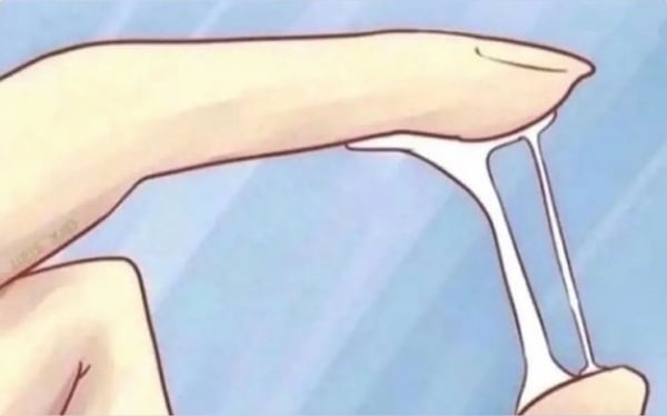 rotkappchenrouge's Header