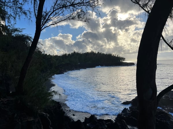 xedumcationx's Header