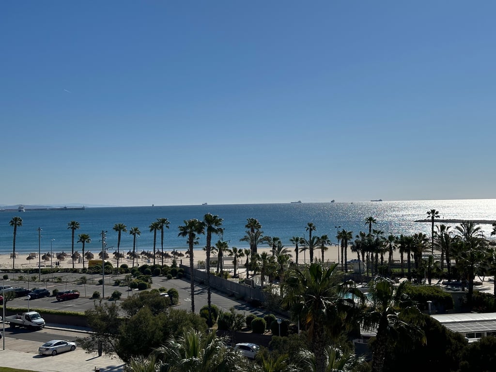 Sunlit Mediterranean Coastline with Palm Trees
