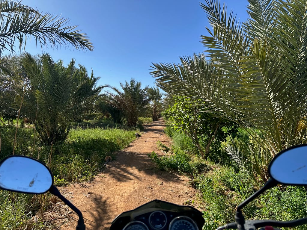 Scooter Ride Through the Oasis