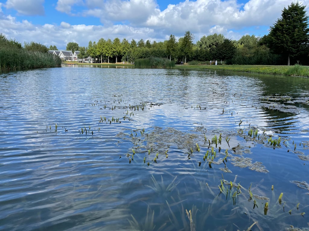 Peaceful Pond with Reflections of Clouds and Trees in a Village Park