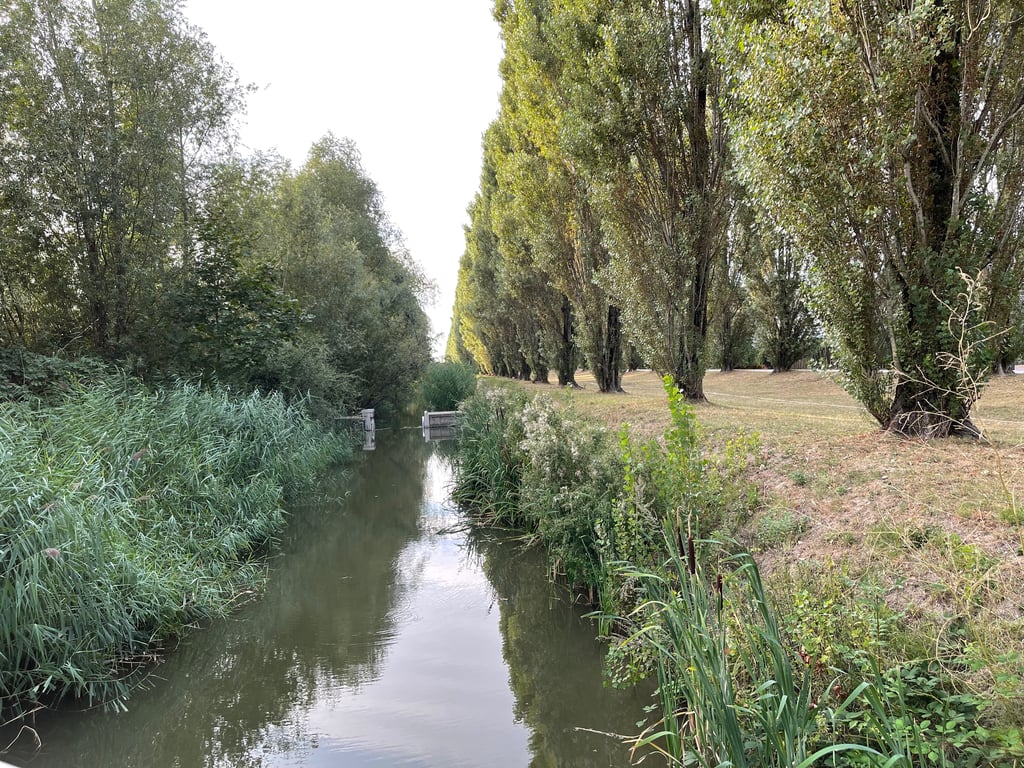Peaceful Canal Flowing Through a Tree-Lined Park