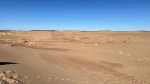 Golden Sand Dunes of the Sahara Desert