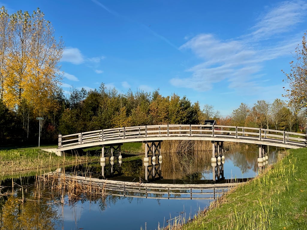 Wooden Footbridge Arched Over Calm Autumn Canal