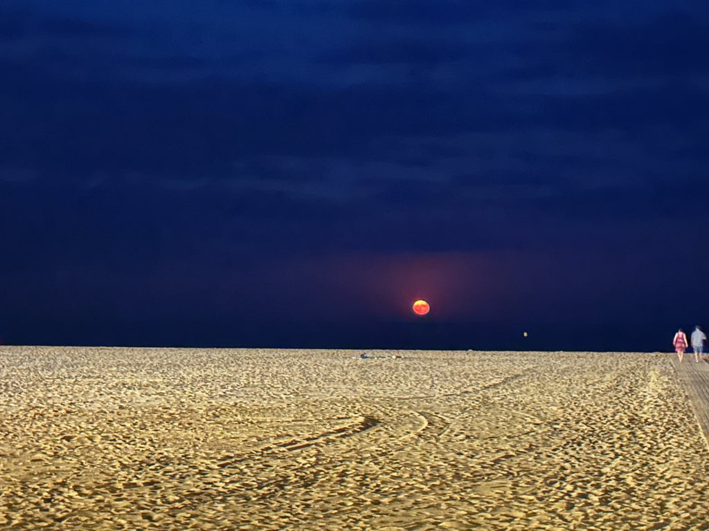 Moonrise Over Sandy Shore