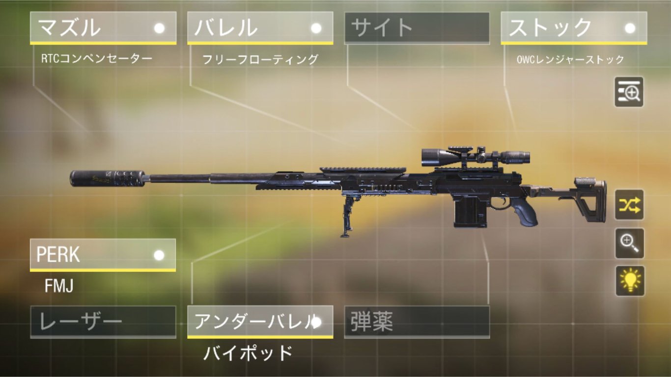 DLQ33の狙撃用カスタム