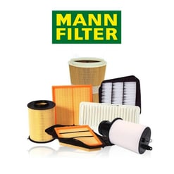 MANN FILTER AIR C 22 020