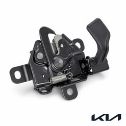 Cache Moteur Droit Kia Cerato 2012
