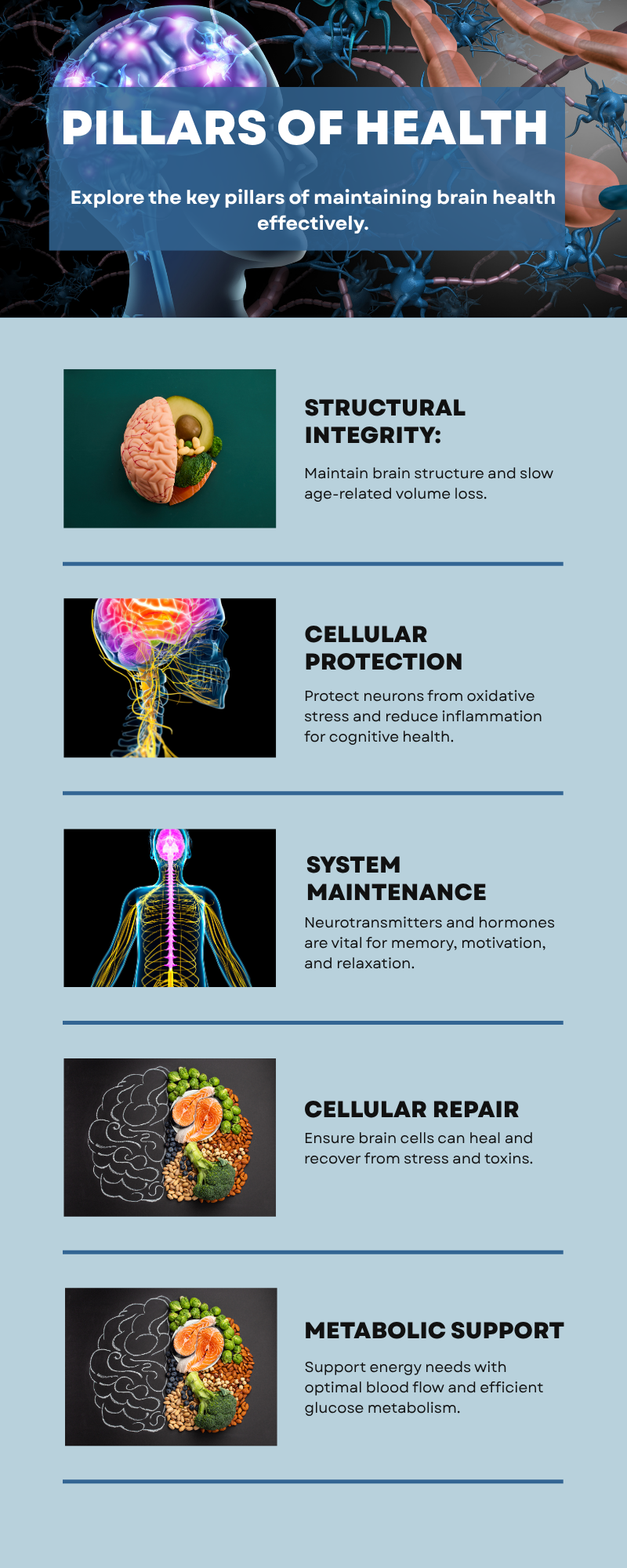 The Pillars of Brain Health
