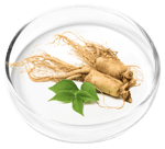 Pyridoxal 5'-Phosphate Active B6