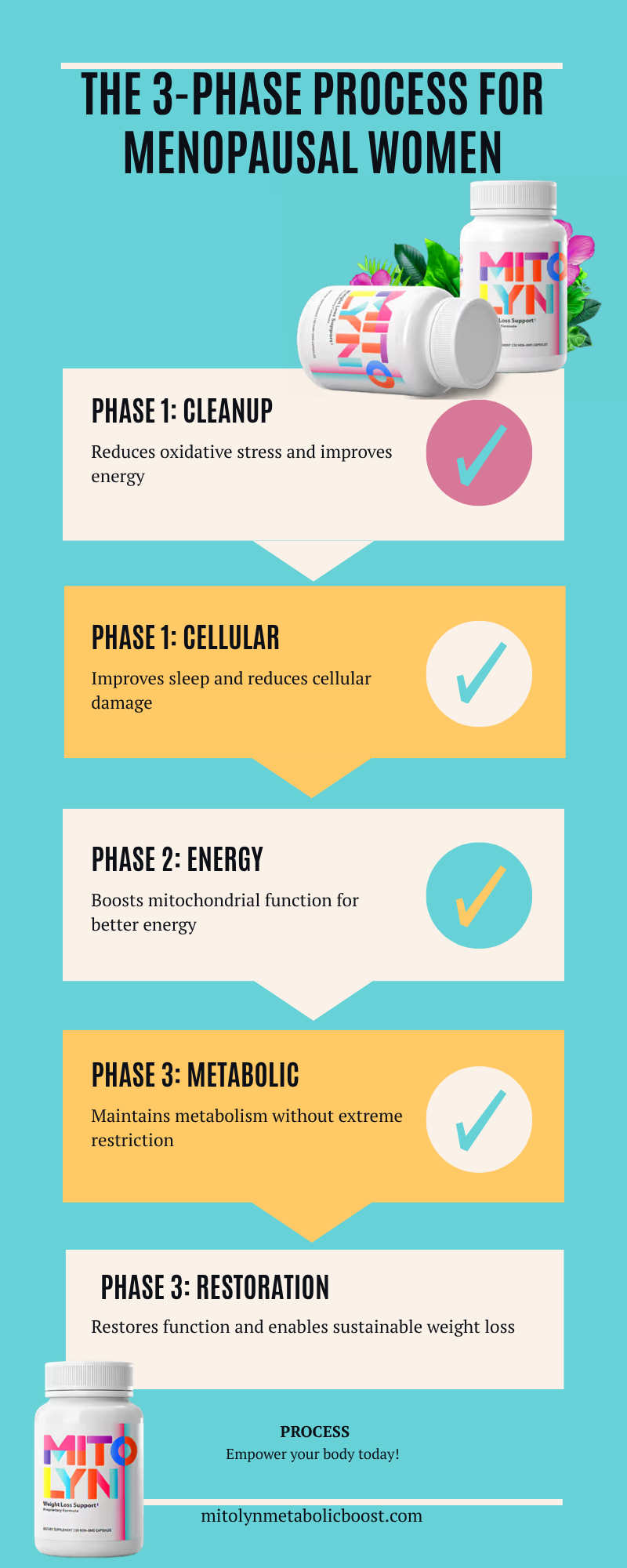 The 3-Phase Process for Menopausal Women showing cellular cleanup, energy optimization, and metabolic restoration