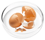 Pure Eggshell Collagen