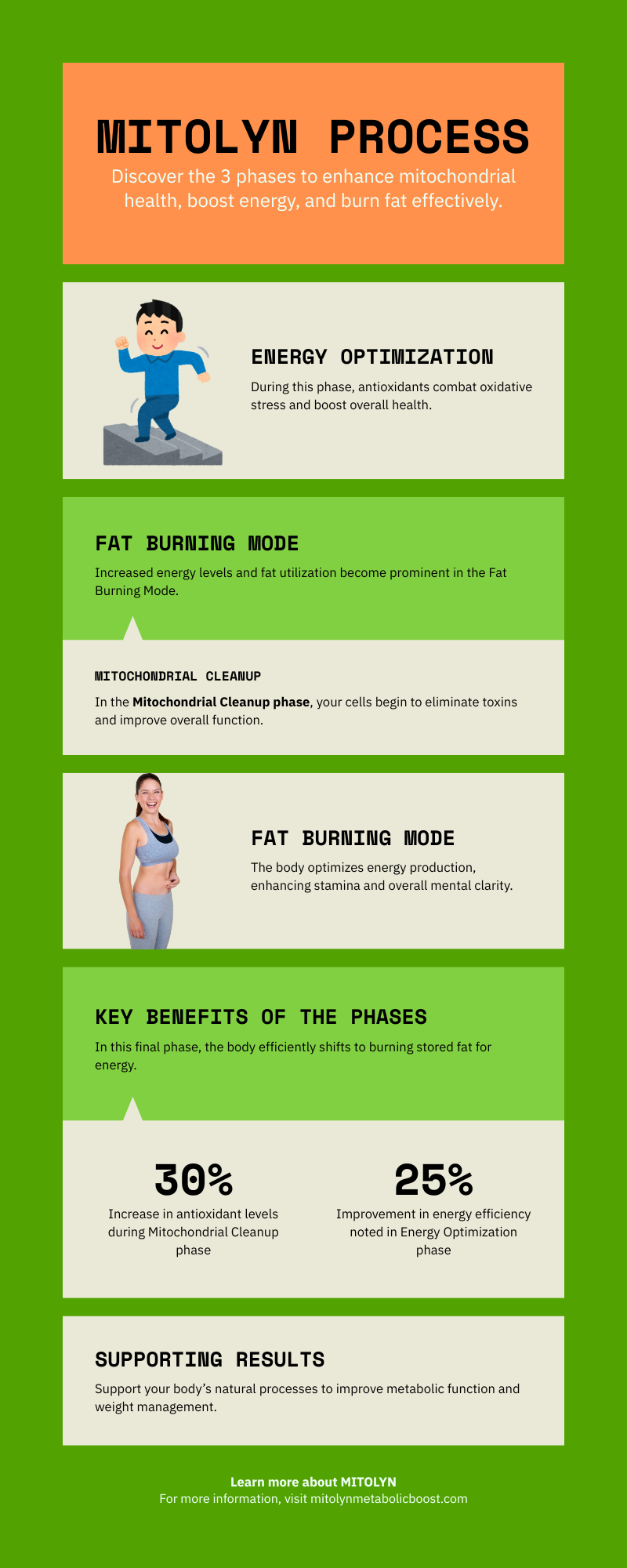 The 3-Phase MITOLYN Process diagram showing mitochondrial cleanup, energy optimization, and fat burning mode