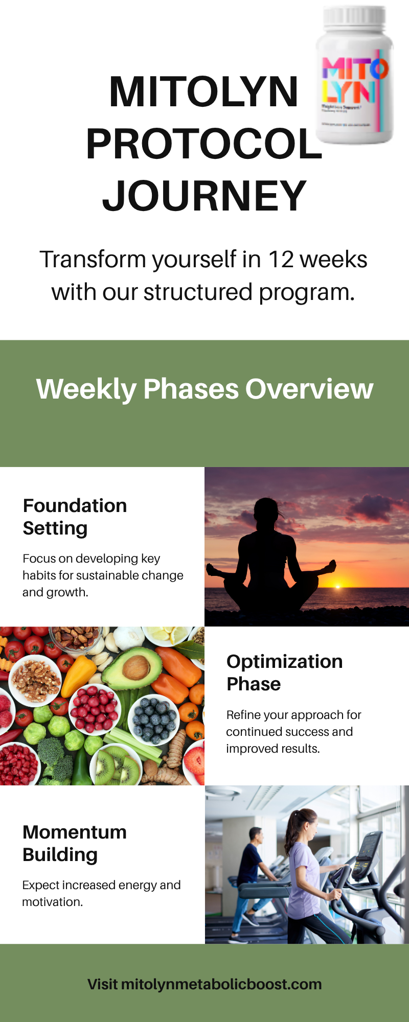 Transform yourself in 12 weeks with our structured MITOLYN program