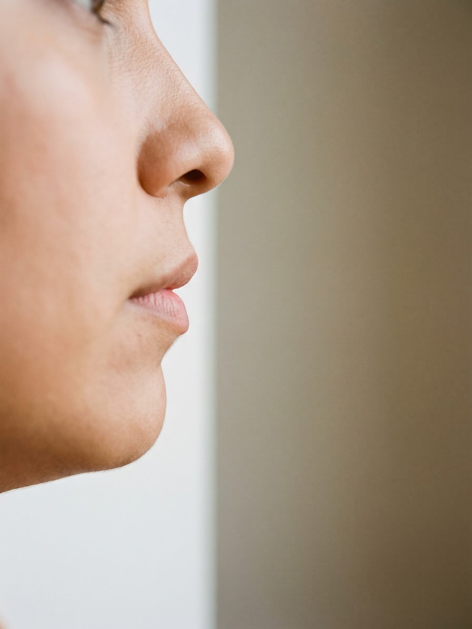 Close crop of a nose, mouth and chin in strict profile, the profile reading as a clean edge against a bright greige wall