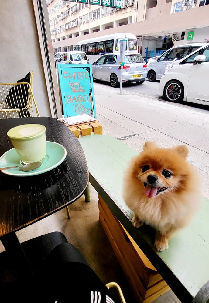 Prisma Coffee Company photo 5