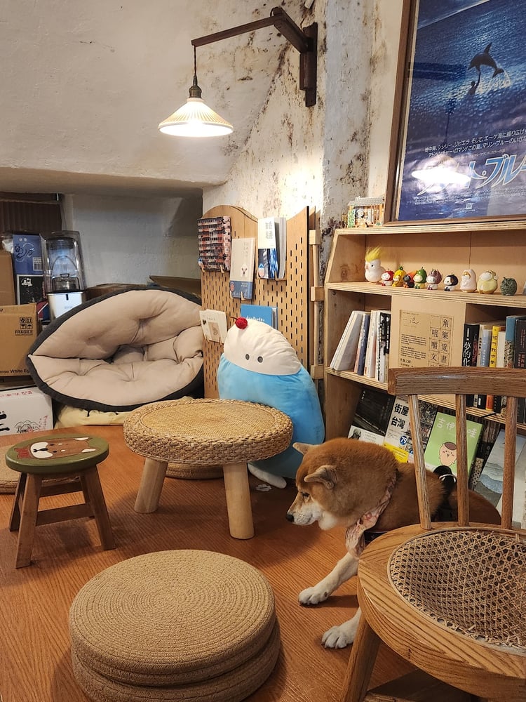 一浪 Wan Land Cafe photo 3