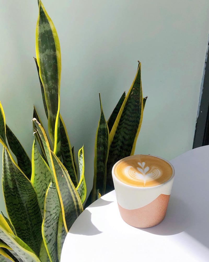 Espresso Remedy photo 4