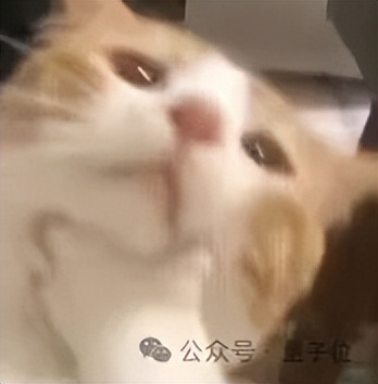 拯救 P 图废柴，阿里上新多模态模型 Qwen-VLo！人人免费可玩