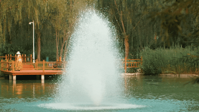 泡泡玛特王宁：快乐会是一个更大的市场，「无用」的东西才是永恒的