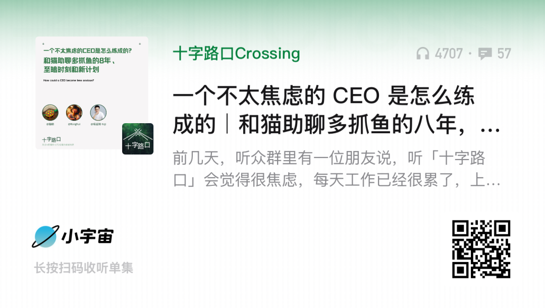一个不太焦虑的 CEO 是怎么练成的｜和猫助聊多抓鱼的八年，至暗时刻和新计划