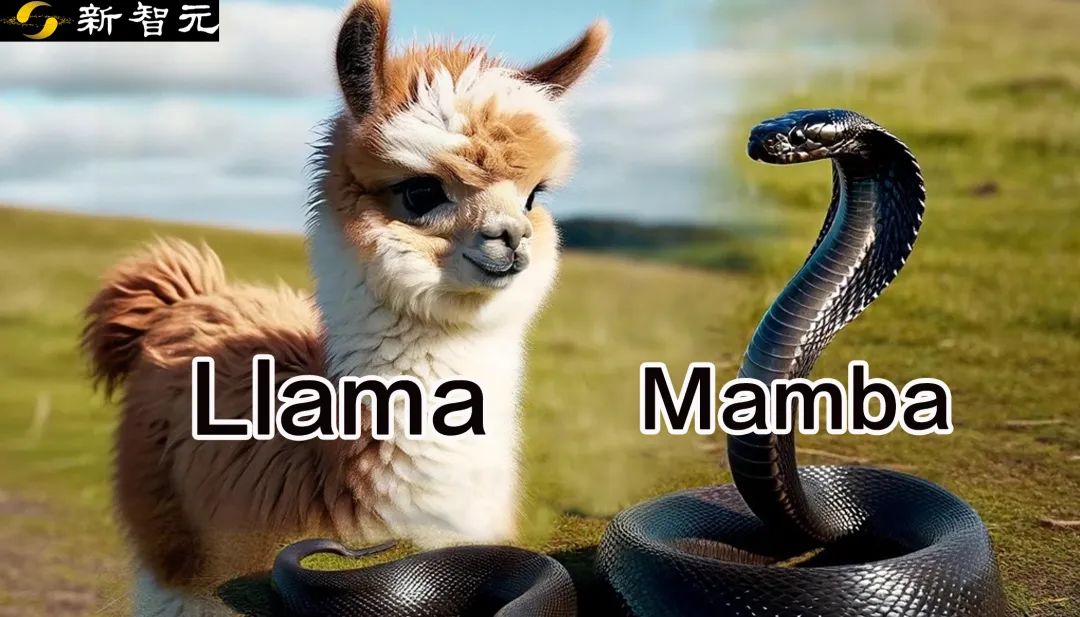 3 天把 Llama 训成 Mamba，性能不降，推理更快！