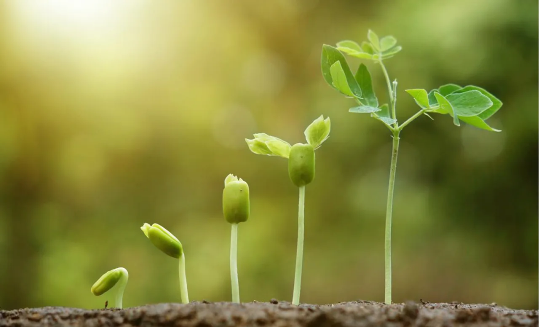 程序员核心竞争力：怎么做需求才能有成长？