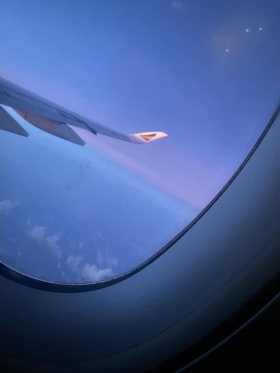 Window view