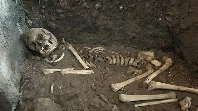 Norveç'te bulunan en eski tam iskelet olan kalıntılar ilk ortaya çıkarıldığında, bilim insanları hemen birkaç anormallik fark ettiler.