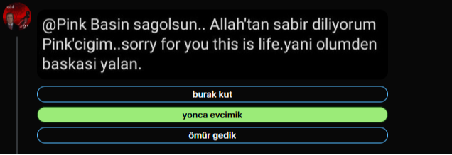 Twitter Dili ve Edebiyatı testi&nbsp;