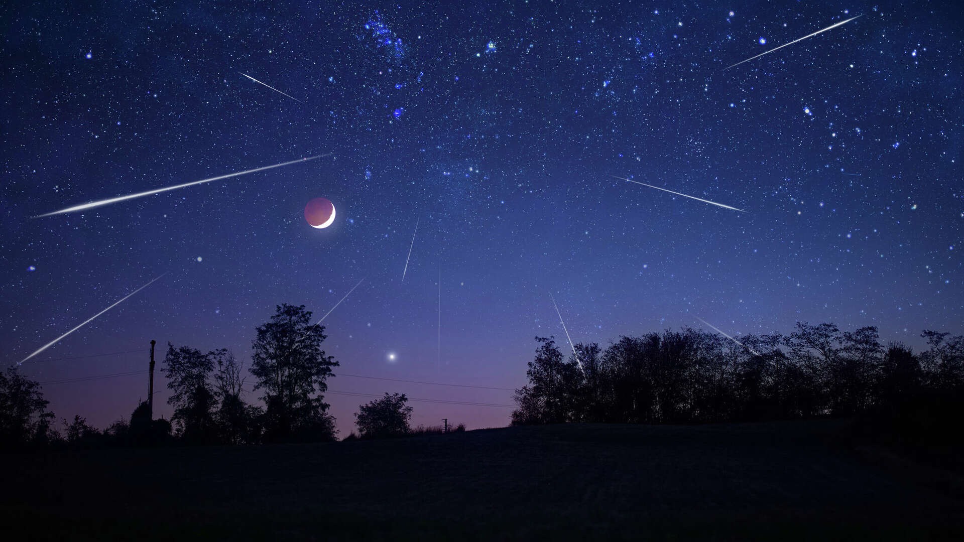 Leonid Meteor Yağmuru