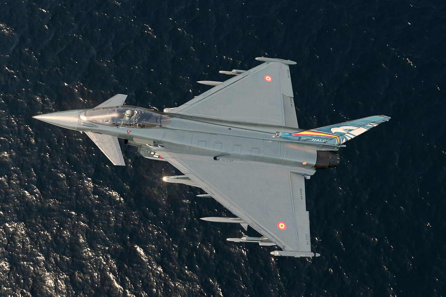 Forbes: T&uuml;rkiye, Eurofighter Typhoon g&ouml;r&uuml;şmesi ile ABD'ye alternatifsiz olmadığı mesajını veriyor