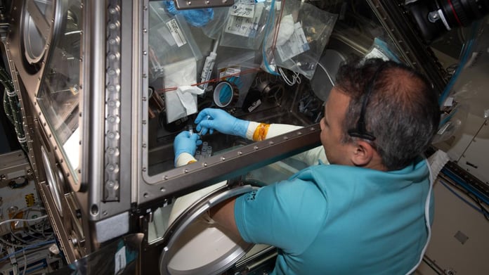 Alper Gezeravcı'nın uzayda gerçekleştirdiği mikroalg deneyinden ilk sonuç alındı