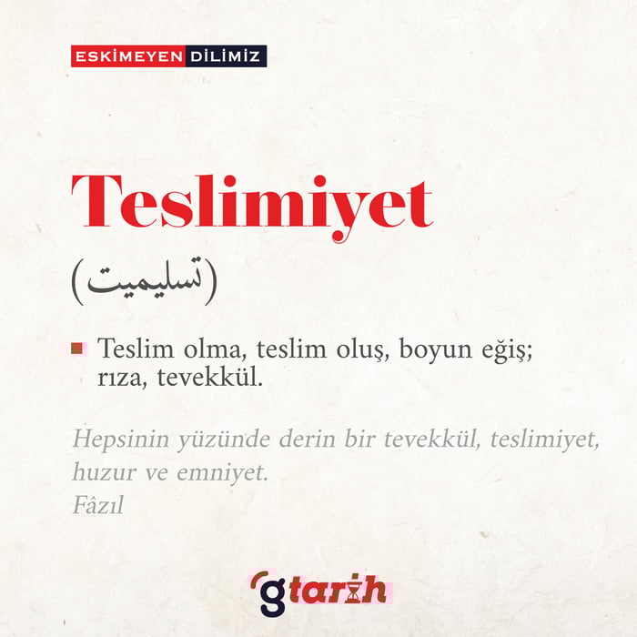 1. resim