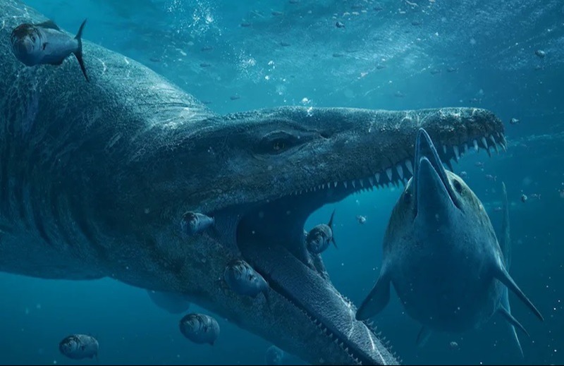 Pliosaurlar diğer büyük deniz sürüngenlerini yok edecek hıza ve güce sahipti.
