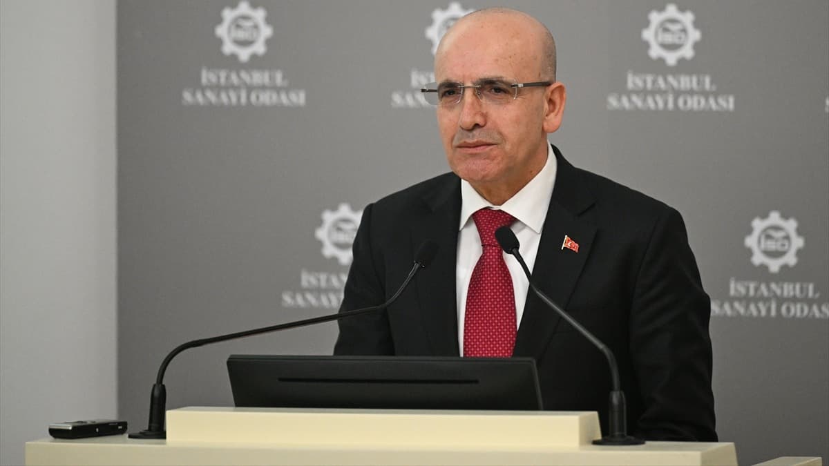 Şimşek: Ekonomi programımız geçici bir heves değil