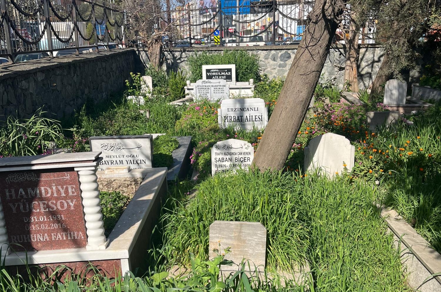 İstanbul'da bitkilerin üzerlerini örttüğü mezarlar. Fotoğraf: Şikayetvar