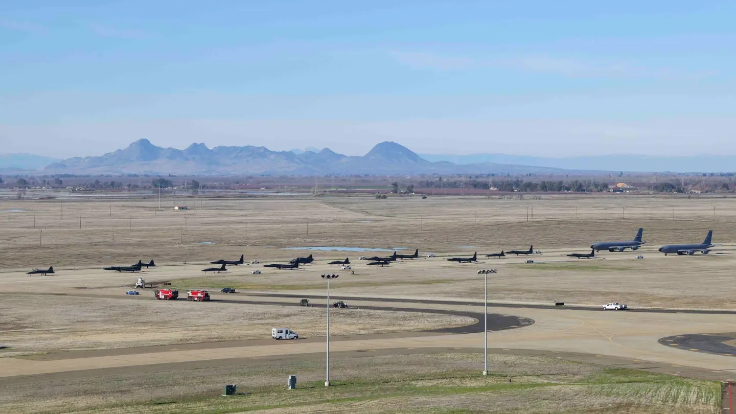 U-2 casus uçakları fil yürüyüşüne çıktı