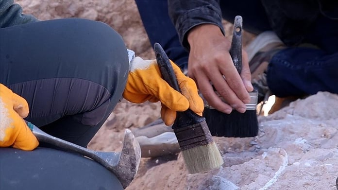 Afrika'da 500 bin yıllık ev kalıntısı bulundu!