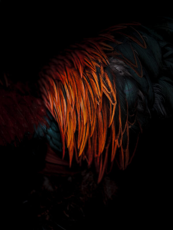 Jose Manuel Garcia Gonzalez | iPhone 14 Pro Max