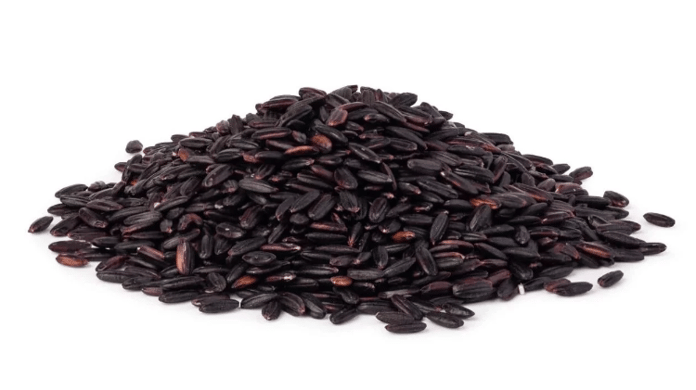 İranlı çiftçilerin yaklaşık 3.000 yıl önce pirinç yetiştirdiğine dair kanıtlara ulaşıldı