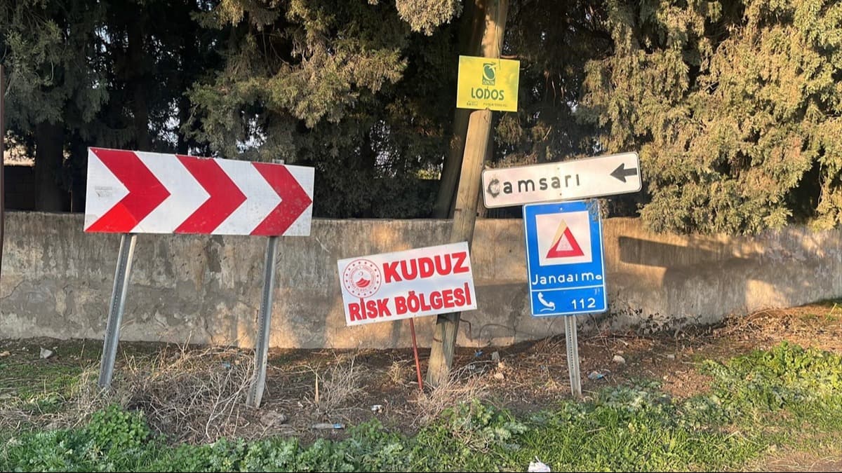 Hatay’da kuduz alarmı! Bir mahalle karantinaya alındı