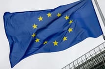 AB Savunma Komisyonu Başkanı savunma bütçesine 105 milyar dolar ayrılmasını öneriyor