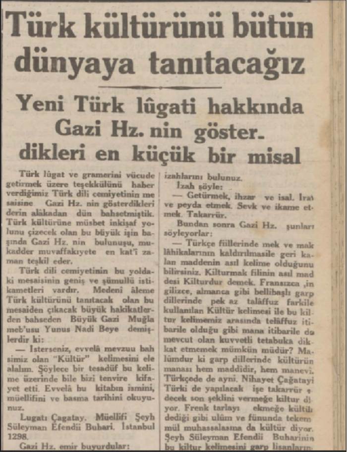 1. resim