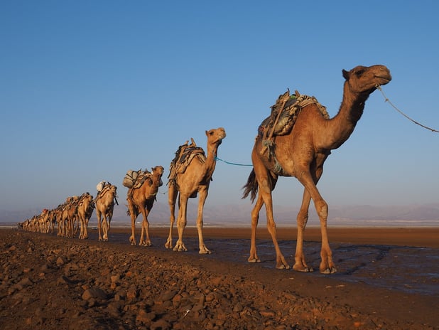 İpek Yolu belgeseli