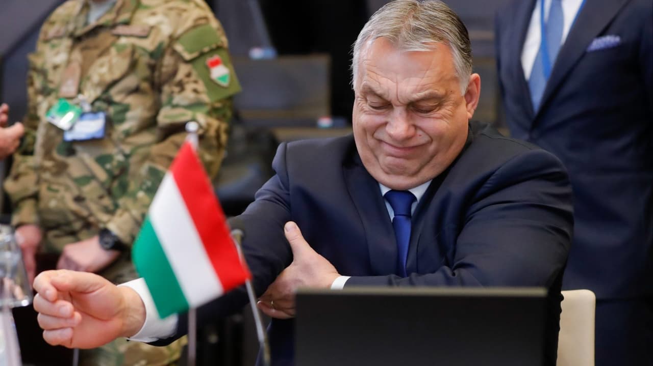 Kuzey-Doğu Avrupa, Macaristan Başkanlığı Boykotu