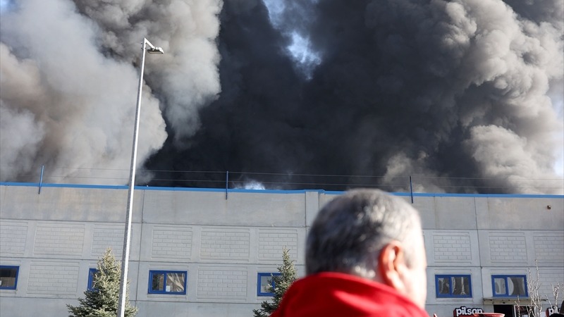 Kırklareli'de çıkan yangın. Fotoğraf: AA