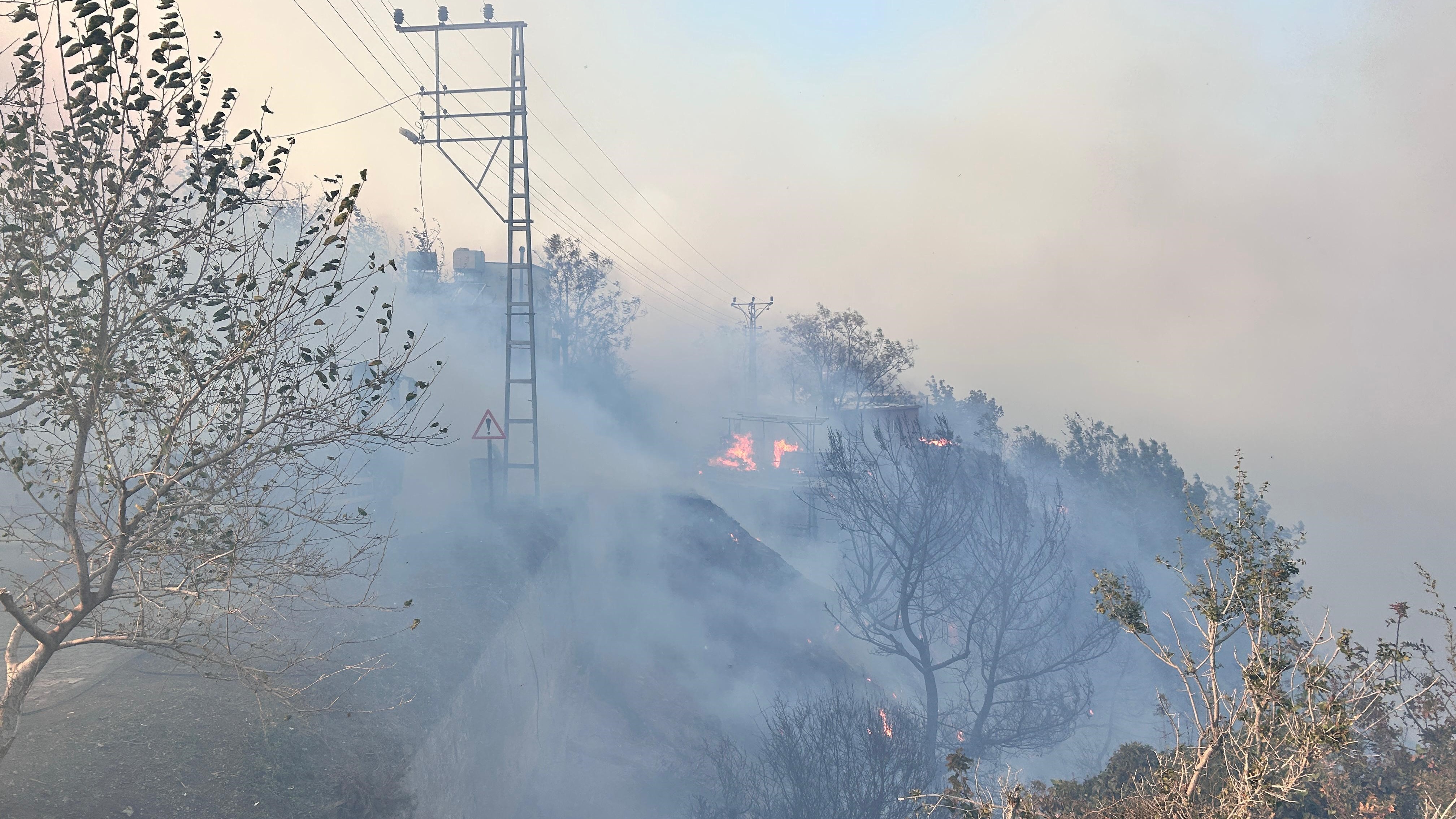 Hatay Arsuz yangın son dakika