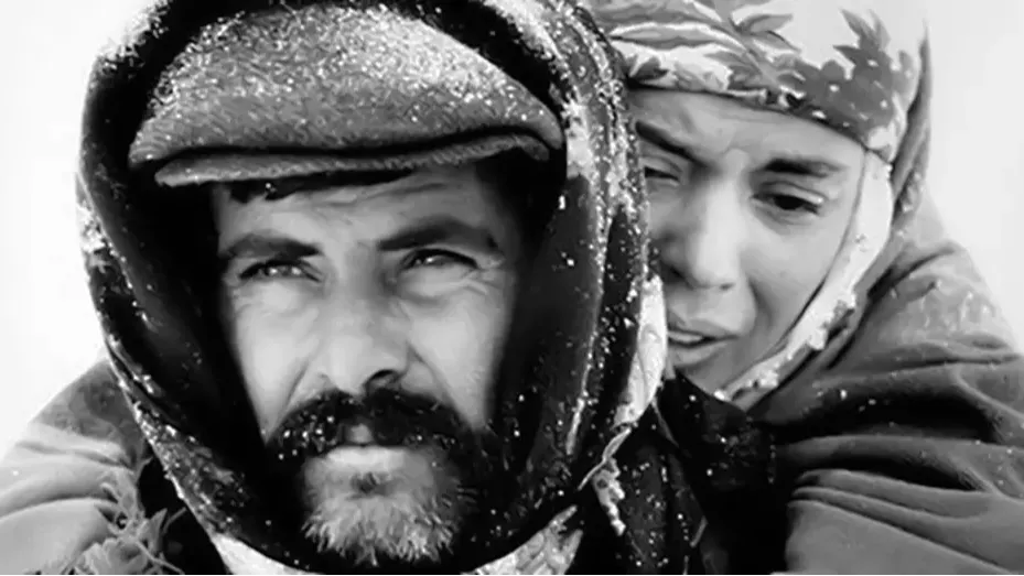 Akan'ın rol aldığı "Yol" filmi, 1982 yılındaki Cannes Film Festivali'nde Altın Palmiye ödülüyle dönmüştü.